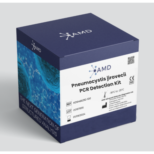 Pneumocystis jirovecii PCR Kit