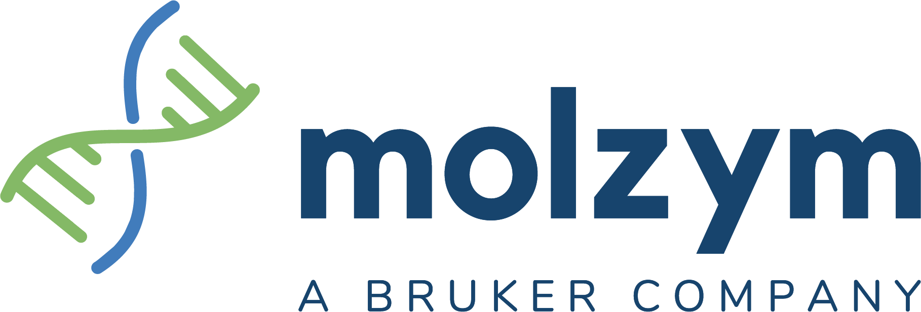 Molzym